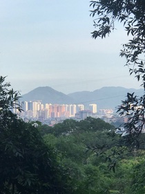 朱志鑫：双医