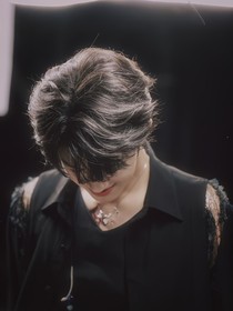 TF家族：笨蛋攻略