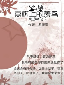 嘉鸟