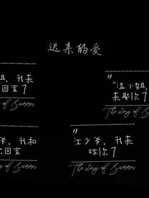 我们迟来的爱