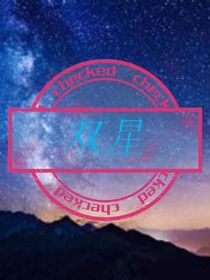 双星（草稿）