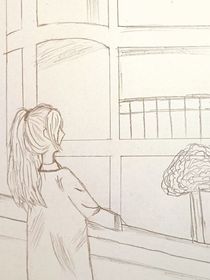 等风，也等青春