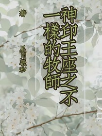 神印之不一样的牧师
