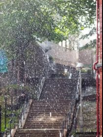 那年夏天那年雨