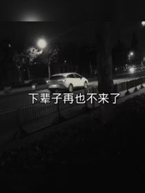 下辈子我在也不来了