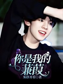 你是我的蒹葭