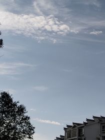 沉溺）隨手