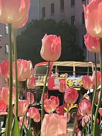 藏起来了