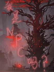 我是NPC吗？
