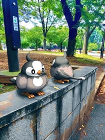 神奇宝贝之不寻常穿越