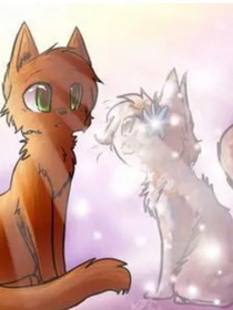 猫武士超好笑篇