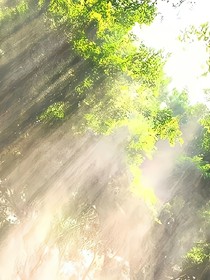 青春底色