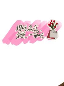 攢夠思念，就見一面吧