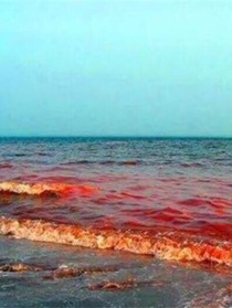 赤潮海