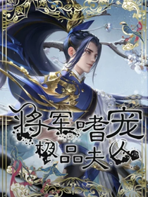 将军嗜宠极品夫人