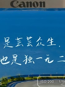 野风肆意