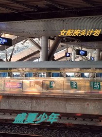 女配按头计划