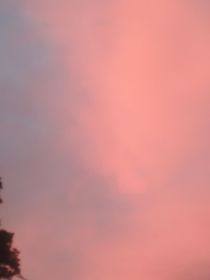 春歡12