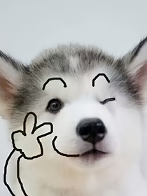 电灯泡的崛起