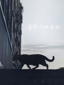 青春与她离别