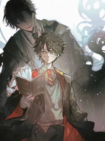HP黑魔王之子