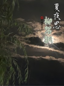 夏夜思柳絮飘