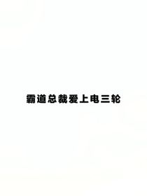 霸道总裁爱上电三轮