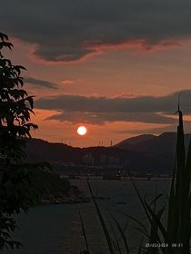 花下藏锦衣