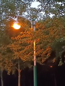 你好，请留步