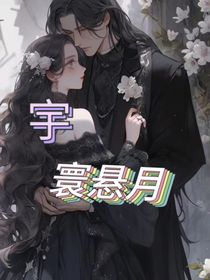 宇寰悬月