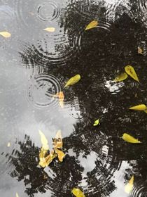是個(gè)下雨天