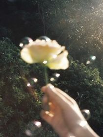 青春半岛铁盒