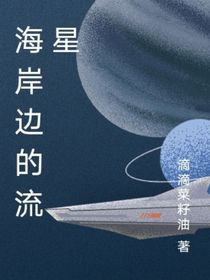 海岸邊的流星