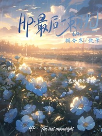 HP—最后一束月光