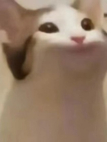 這一世我重生了