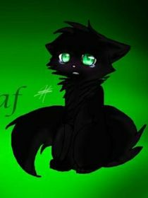 猫武士之冬落之恋