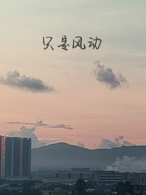 只是风动