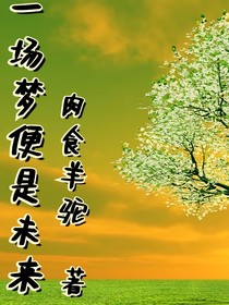 一场梦便是未来