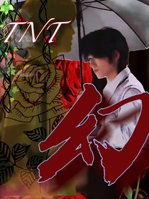 TNT：幻