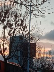 不知道叫啥的文
