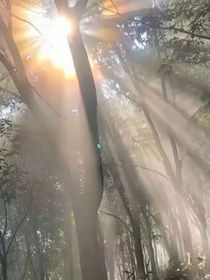 随笔纪念
