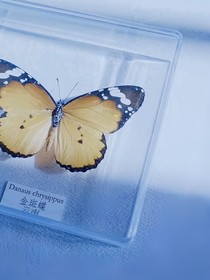 綜影視：沈憶宵