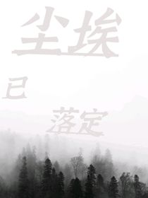 塵埃已落定