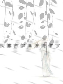 只能在梦里见到你了