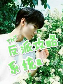 TNT：攻略系统a