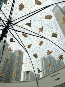 秘密是謎-d200