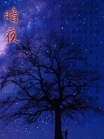 暗夜庭兮-d063