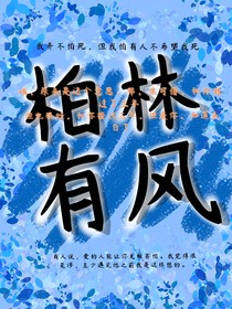 柏林有风