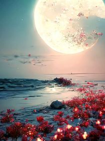 花海中的爱