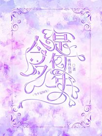 星念的封面铺子